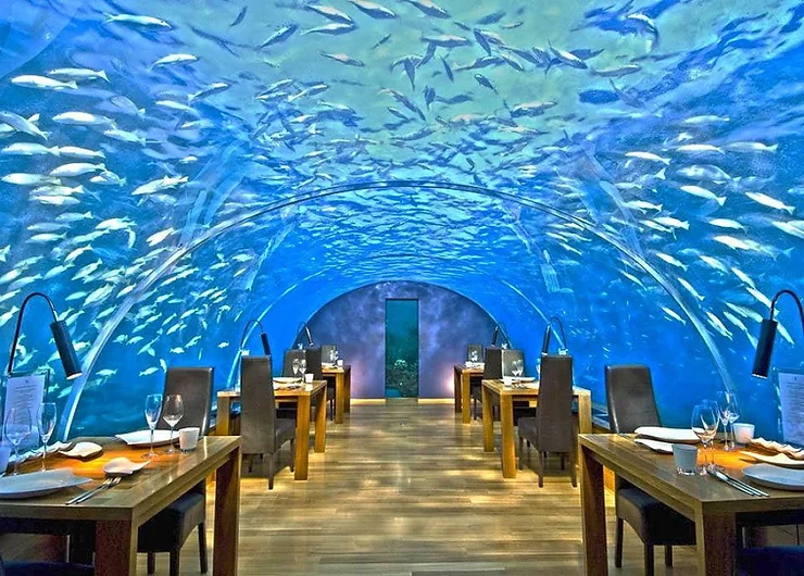 Maldives Ithaa Restaurant