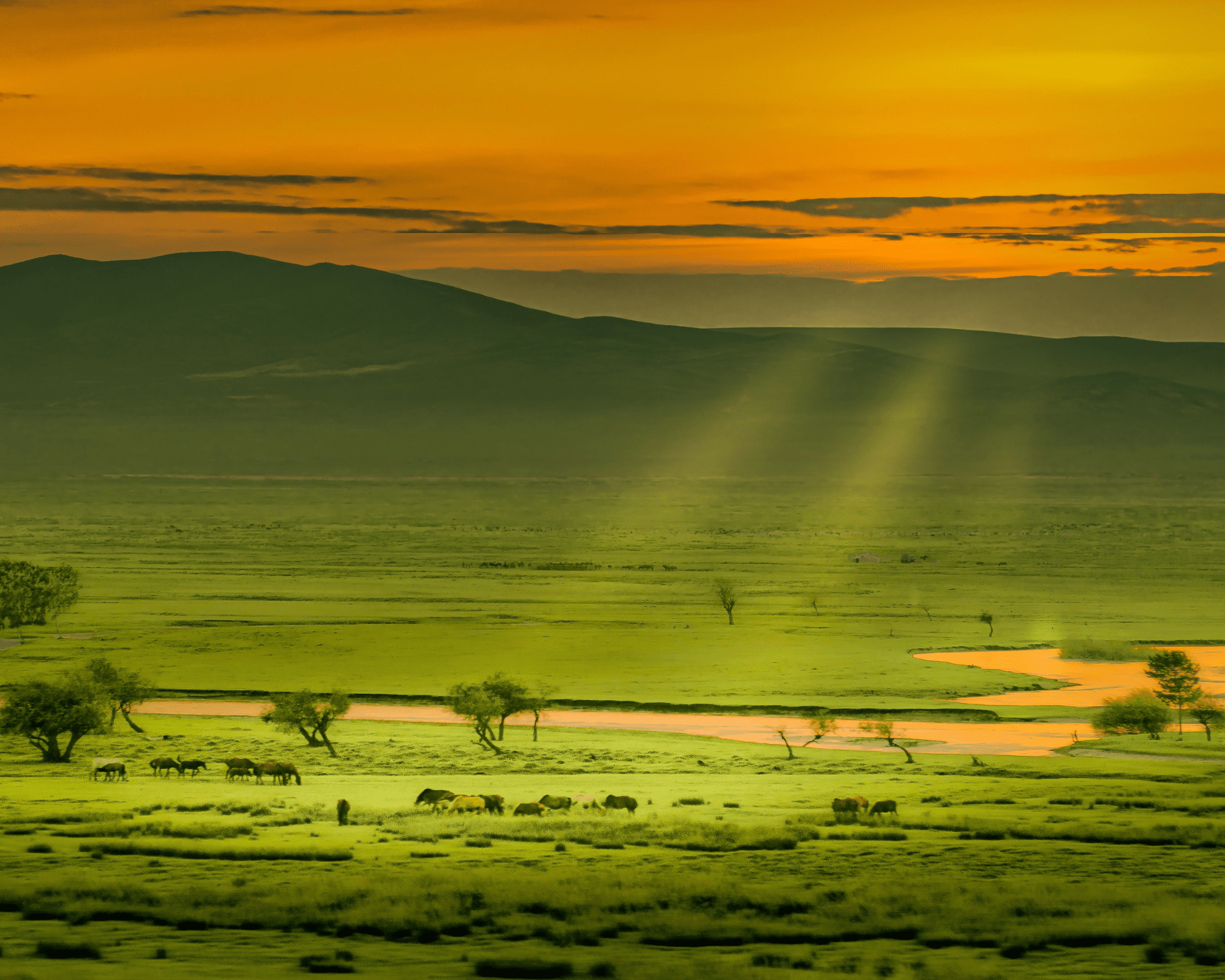 Mongolia