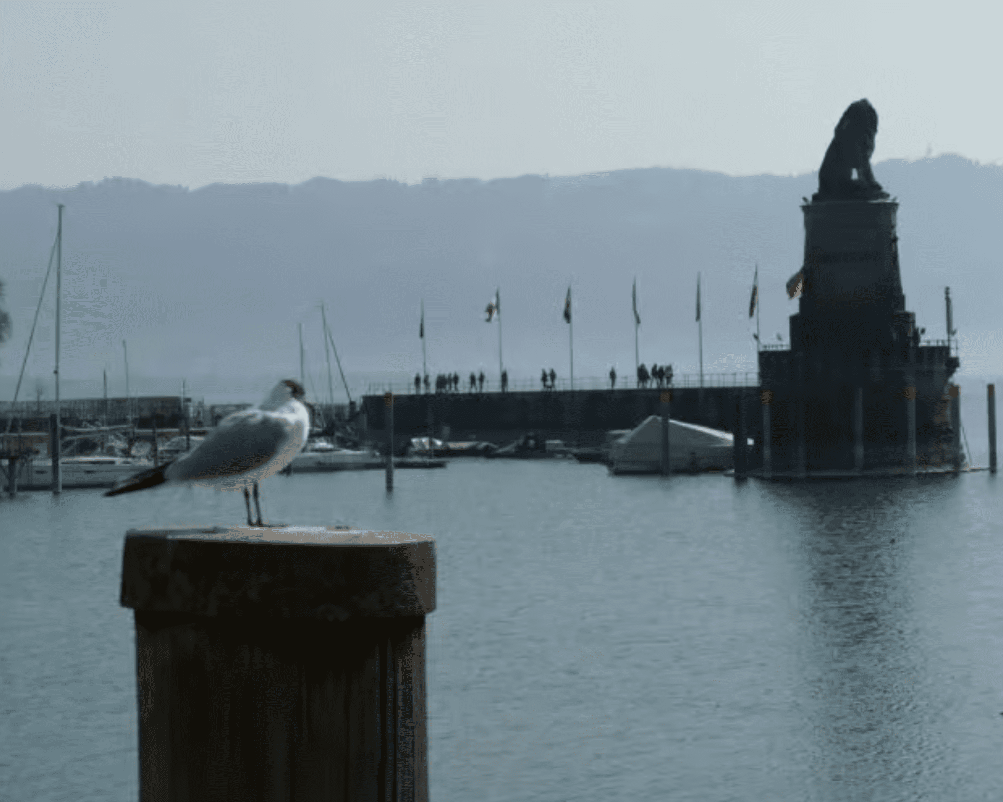 Bayerischer Löwe Lindau