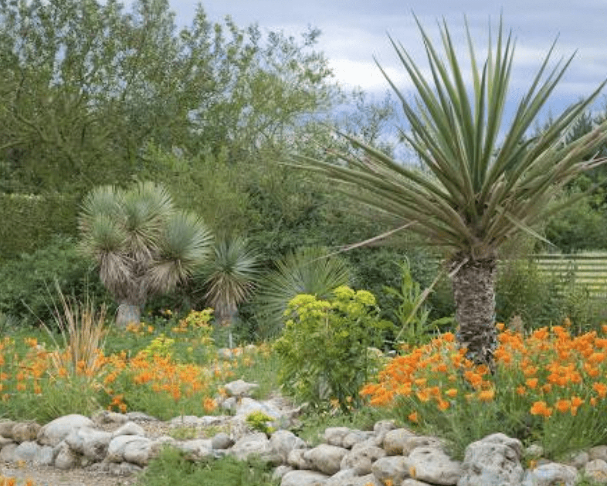 Gardone Botanical Garden