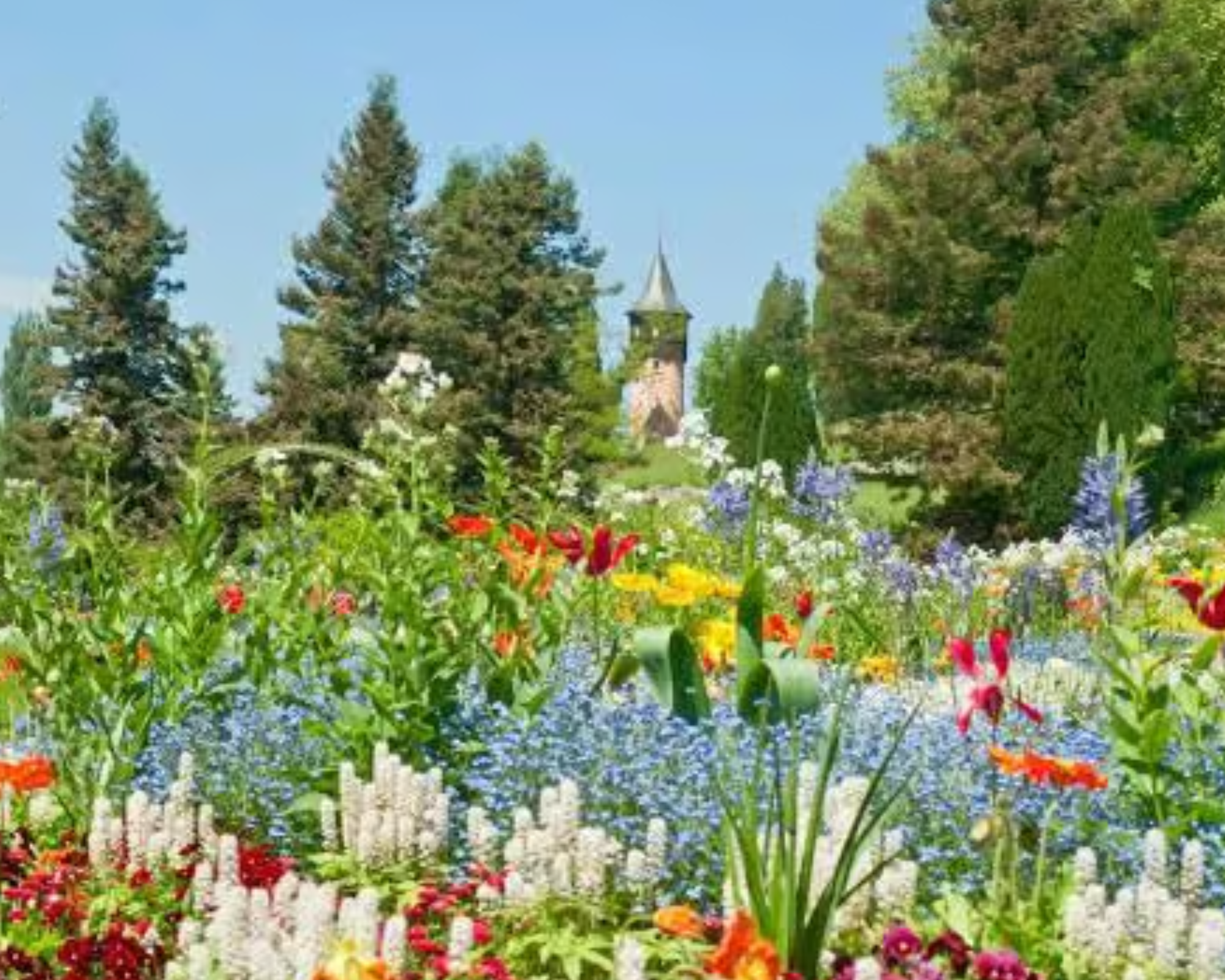 Mainau Island