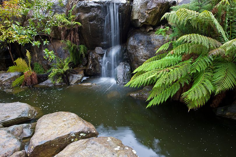 Australian National Botanic Gardens